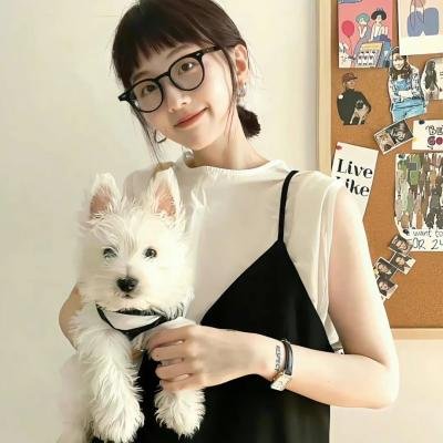 洪拳小子