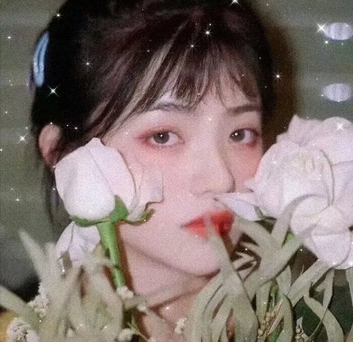 毒帮家族