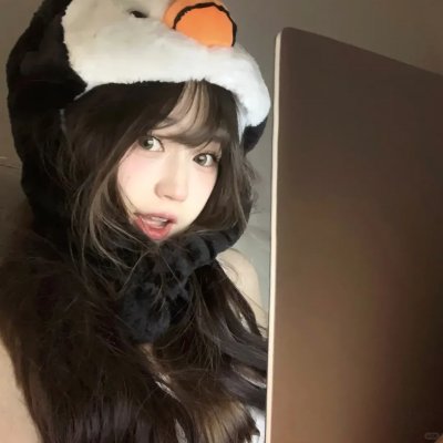 孖生老虎